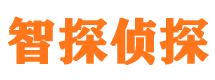 四川外遇调查取证